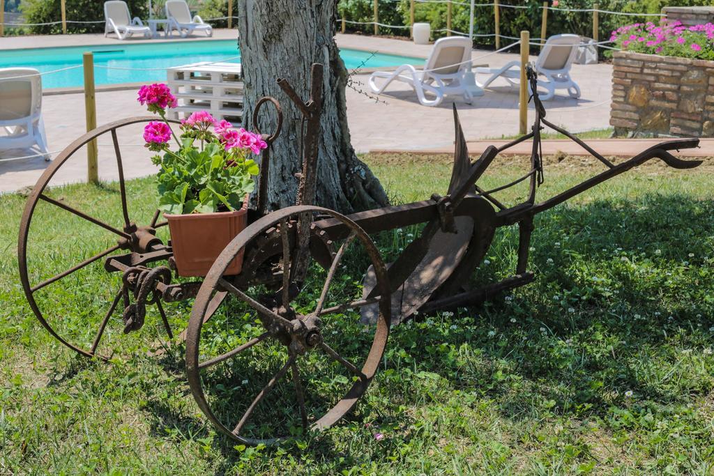 Agriturismo Il Divin Casale Torgiano Εξωτερικό φωτογραφία