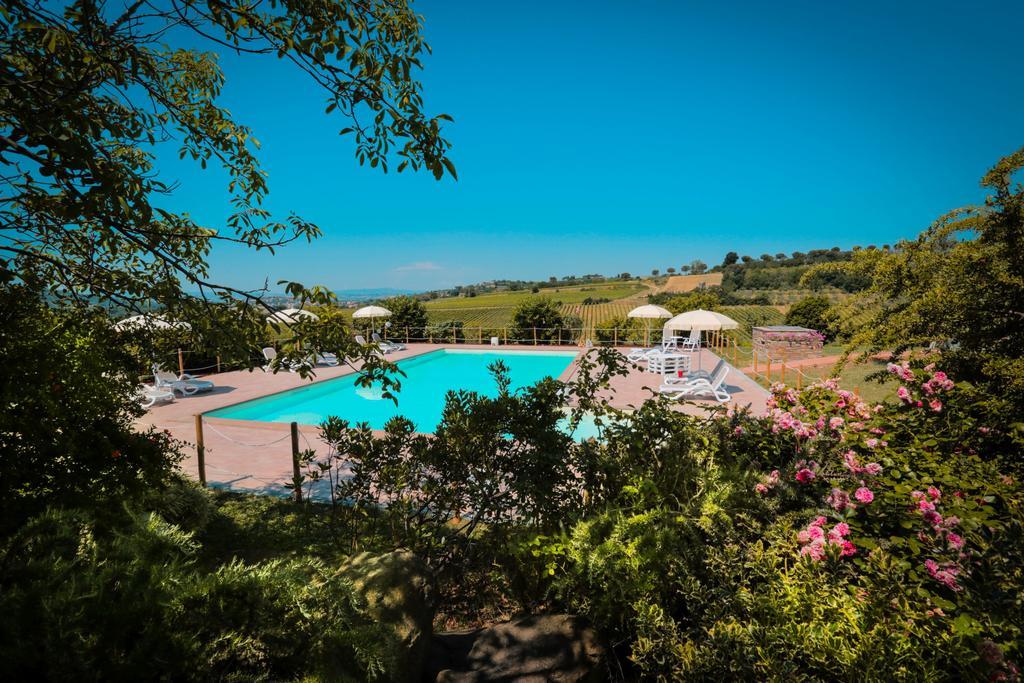 Agriturismo Il Divin Casale Torgiano Εξωτερικό φωτογραφία